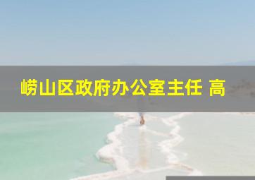 崂山区政府办公室主任 高